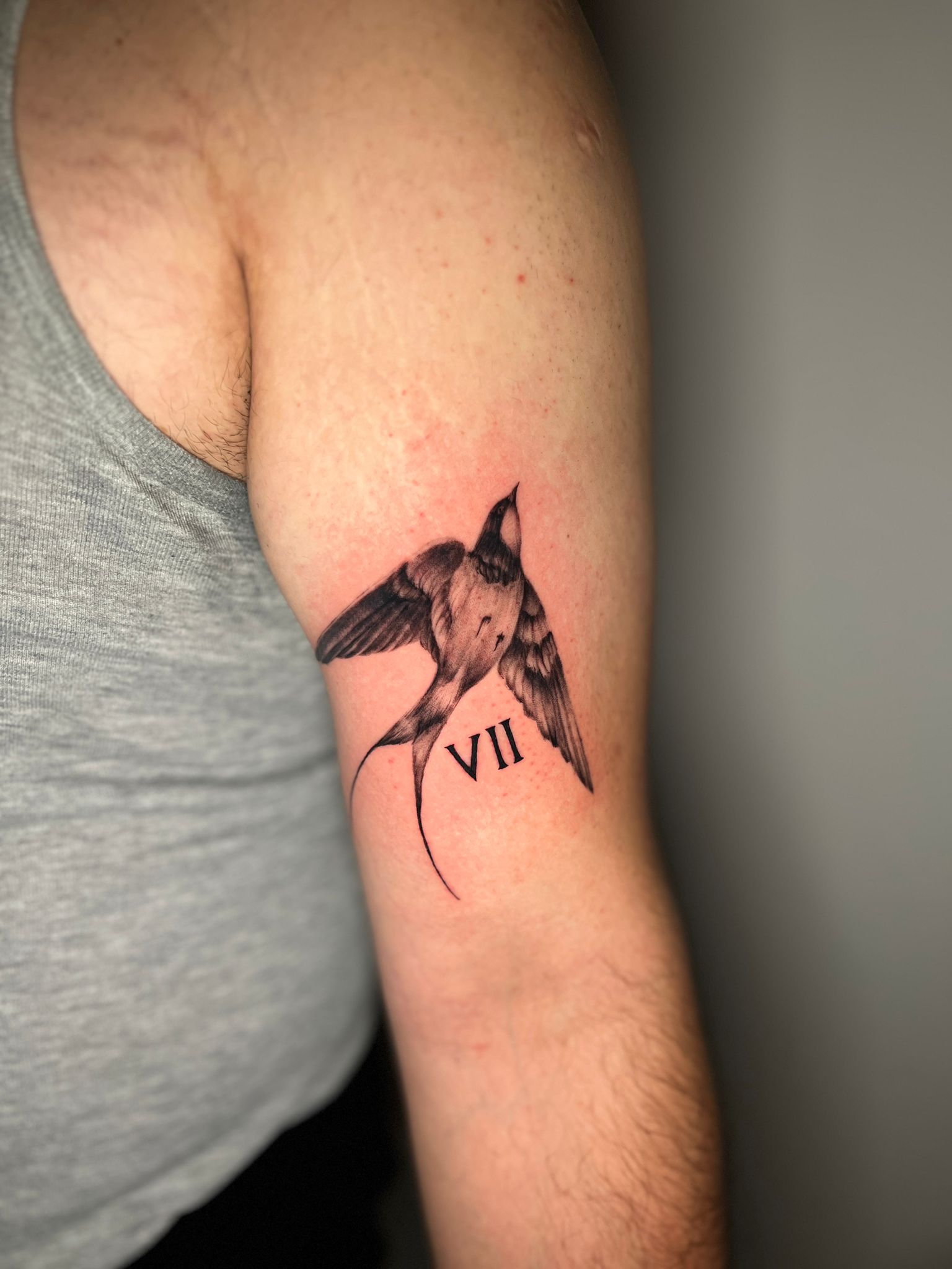 Fine Line & Minimal